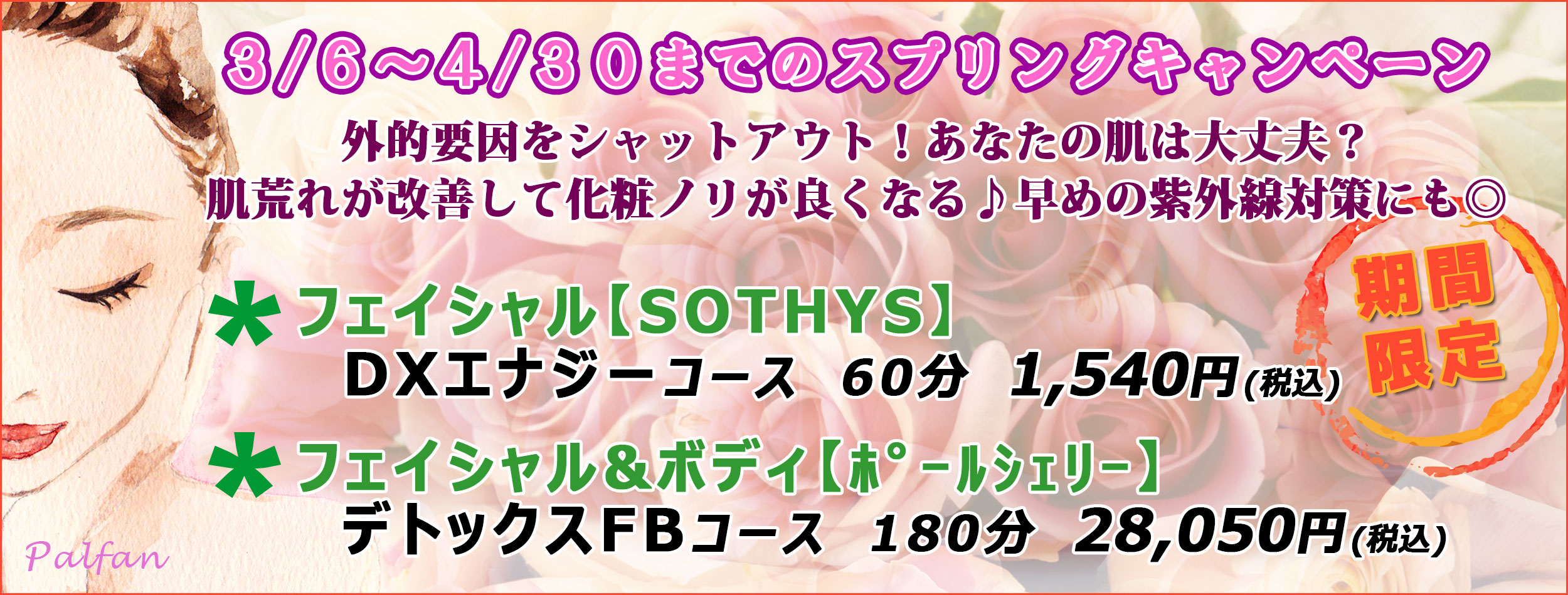 スプリングフェア期間限定